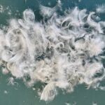 Peří do polštáře, zdroj Brotex