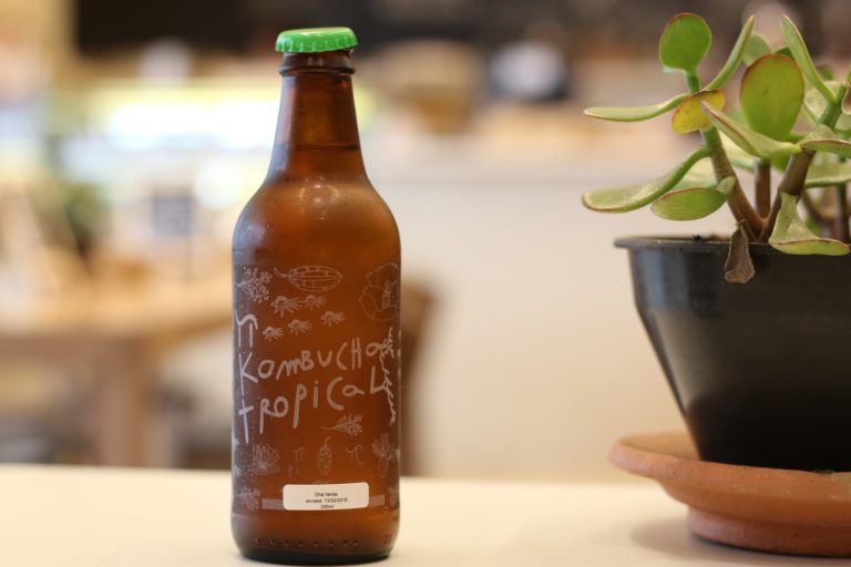 kombucha-3386823_1920